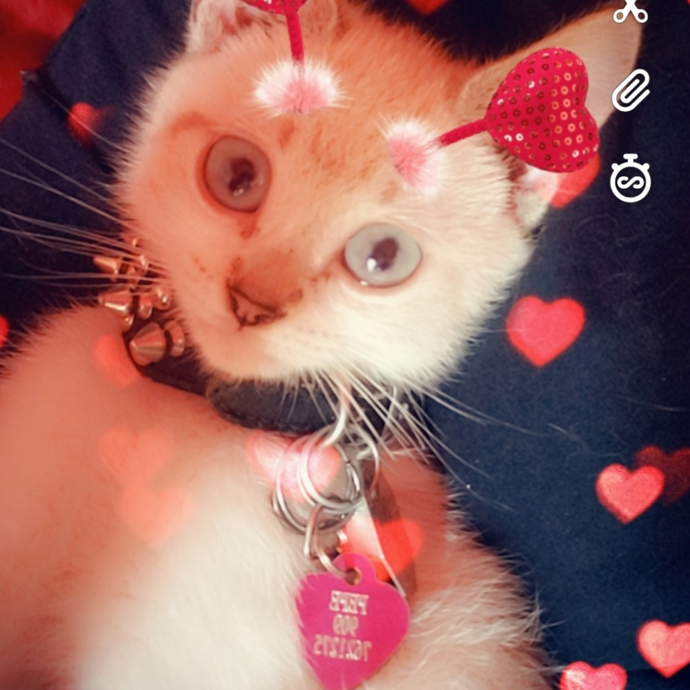 Meet your Posher, Maria